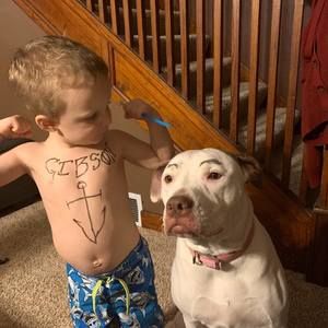 Meet your Posher, Don